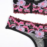 Embroidered Lace Sexy Lingerie Bra Pantie Set