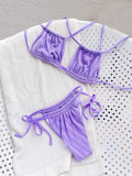 Purple Halter Low Back Lace Up Bikini Set