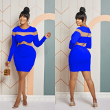 Sexy Solid Long Sleeve Round Neck Mesh Splicing Bodycon Dress