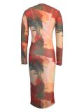 Sexy Abstract Print Mesh Long Sleeve Two-piece Dress