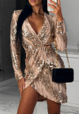 Sequin Ruched Long Sleeve Sexy Dress