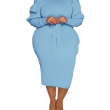 Blue Puff Sleeve Long Sleeve Slim Plus Size Bodycon Dress