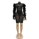 Feather Trim Black Mesh Rhinestone Long Sleeve Bodycon Dress