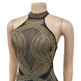 Solid Mesh Rhinestone Halter Neck Maxi Dress