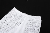 Sexy Hollow Out Knitting Crop Top High Waist Pants 2PCS Set