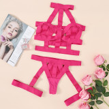 Sexy Lace-Up Hollow Sexy Lingerie Set