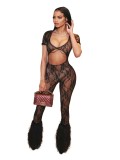 Sexy Lace See Through Short Sleeve Cut Out Bodycon Jumpsuit