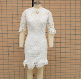 White Lace Chic Hollow Out Lace Dress