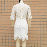 White Lace Chic Hollow Out Lace Dress