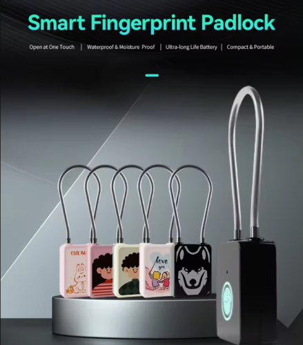 Fingerprint Padlock Safety Latest Type-c Charging Suitcase Lock Gym School Locker Anti Thief Padlock