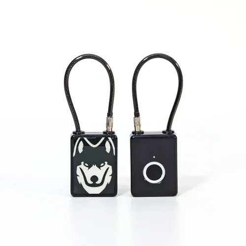 Latest Type-c Charging Suitcase Lock Fingerprint Padlock Safety Gym School Locker Anti Thief Padlock
