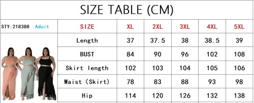 Plus Size Tassel Two Piece Set Cropped Tank Top Irregular Skirt