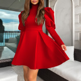 Solid High Neck Long Sleeve A-Line Party Dress