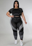 Plus Size Sports Tight Fit Work Out Yoga Two Piece Pants Set
