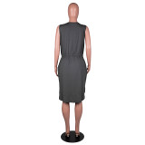 Plus Size Sleeveless V-Neck Printed Tie Waist Casual Dress