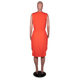 Plus Size Sleeveless V-Neck Printed Tie Waist Casual Dress