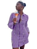Printed Long Sleeve Striped Shirt Dress