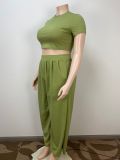 Stylish Casual Plus Size Green Crop Top Two-Piece Wide Leg Pants Set