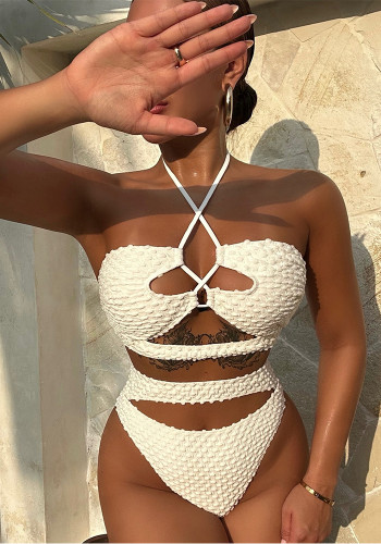 Halter Bikini Sexy Cut Out High Wiasted Two Pieces Swimwear
