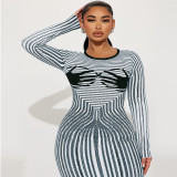 Plus Size Printed Round Neck Back Slit Long Sleeve Slinky Maxi Dress