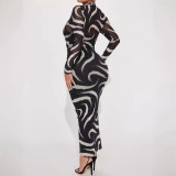 Printed Lined Cami Mesh Translucent Dress 2PCS Set