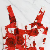 Red Rose Printed Chic Elegant Swing Dress