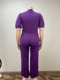 Fashion Plus Size Purple Short Sleeve 2PCS Wide Leg Pants Set