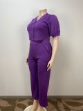 Fashion Plus Size Purple Short Sleeve 2PCS Wide Leg Pants Set