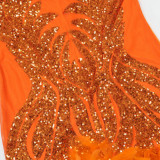 Halter Low Back Sequin See-Through Bodycon Dress