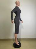 Sexy Shiny Two Way Long Sleeve Slim Dress