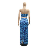 Floral Printed Strapless Bra Top and Tassel Mini Skirt 2PCS Set