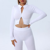 Seamless Yogawear Sports Long Sleeve Zipper Crop Top