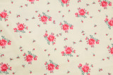 French Styel Floral Print Sleeveless Maxi Dress