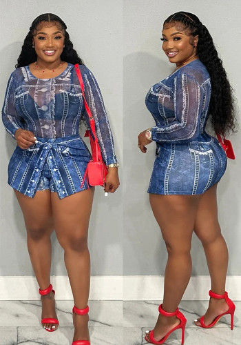 Plus Size Printed Mesh Bodysuit Skirt 2 Piece Set
