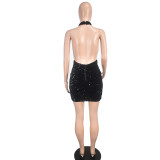 Sexy Mesh Sequin Halter Backless Bodycon Nightclub Dress
