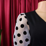 Dotted Mesh Sleeve V-neck Elegant Bodycon dress