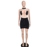Sexy Mesh Sequin Halter Backless Bodycon Nightclub Dress
