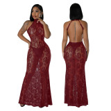 Sexy Lace See-Through Backless Bodycon Nightclub Maxi Dress