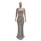 Round Neck Sleeveless Sequin Sexy Slinky Maxi Dress