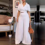 Solid V-Neck Loose Crop Top and Wide Leg Pants 2PCS Set