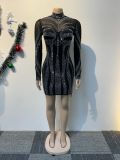 Sexy See-Through Rhinestone Mesh Long Sleeve Slinky Club Dress