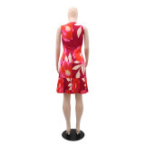 Stylish Chic Printed Sleeveless Patchwork Pleated Dress