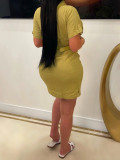 Trun Down Collar Button Belted Pocket Trendy Dress