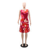 Stylish Chic Printed Sleeveless Patchwork Pleated Dress