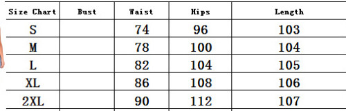 Stylish Ripped Slim Denim Pants