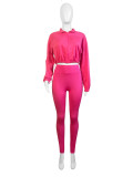 Solid Sports Two-Piece Set Zipper Elastic Buckle Slim Waist Long Sleeve Crop Top Pants