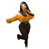 Colorblock Zipper Long Sleeve Cropped Jacket and Tight Pants Two Pieces Casual Sweatsuit