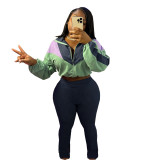 Colorblock Zipper Long Sleeve Cropped Jacket and Tight Pants Two Pieces Casual Sweatsuit