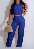 Sexy Tank Crop Top and Pleated Pants Two Piece Set