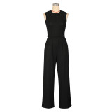 Sexy Tank Crop Top and Pleated Pants Two Piece Set